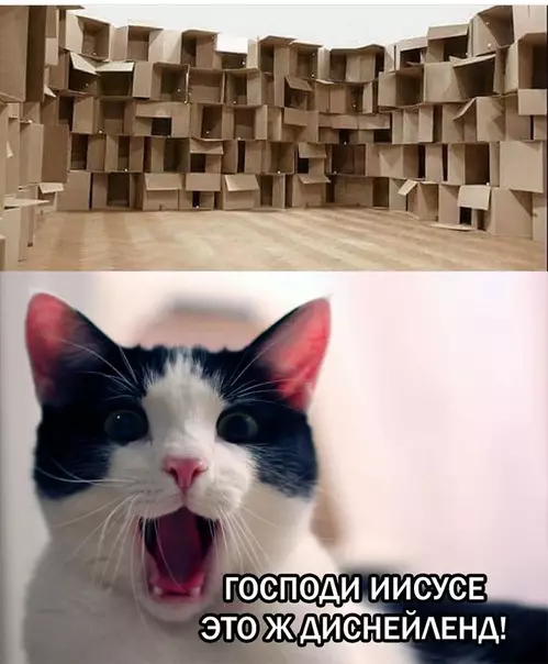 Смешная картинка №291879 кошки