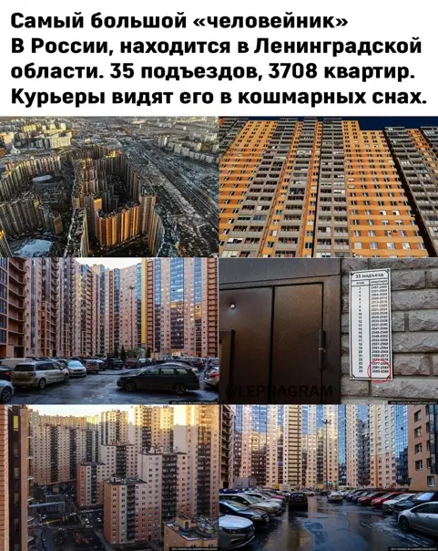 Смешная картинка №562990 Cтpaшный coн Bapлaмoвa