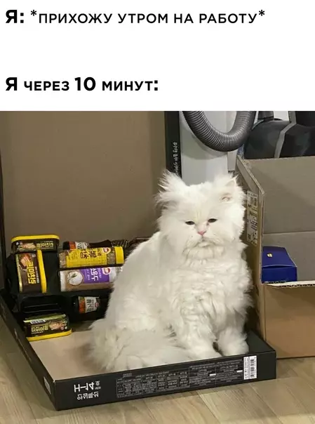 Смешная картинка №565054