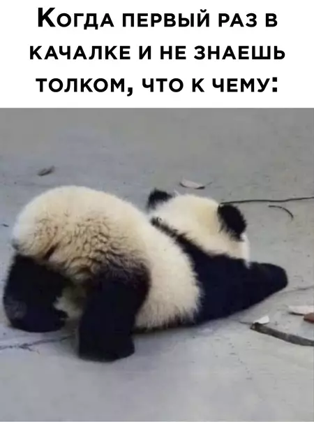 Смешная картинка №568915