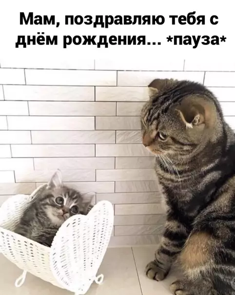 Смешная картинка №525491