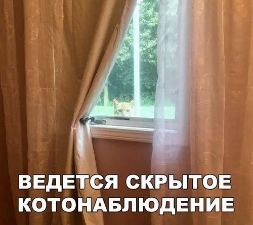 Смешная картинка №203774