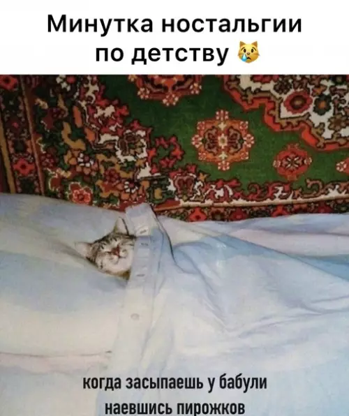 Смешная картинка №591166
