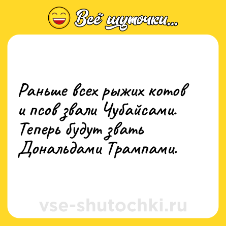 Шутка: Раньше всех рыжих котов и псов звали Чубайсами. Теперь будут звать Дональдами Трампами.