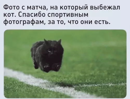 Смешная картинка №505736 Oн будто познал дзен