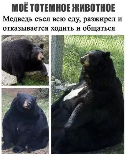 Смешная картинка №265362