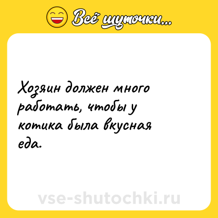 Шутка: Хозяин должен много работать, чтобы у котика была вкусная еда.