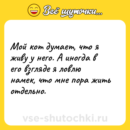 Шутка: Мой кот думает, что я живу у него. А иногда в его взгляде я ловлю намек, что мне пора жить отдельно.