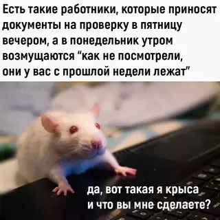 Смешная картинка №661866