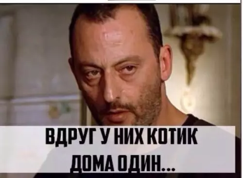 продолжение Смешная картинка №565516 Главное правило