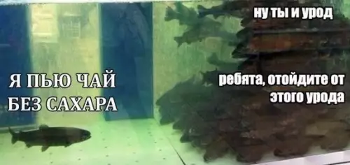 Смешная картинка №498887