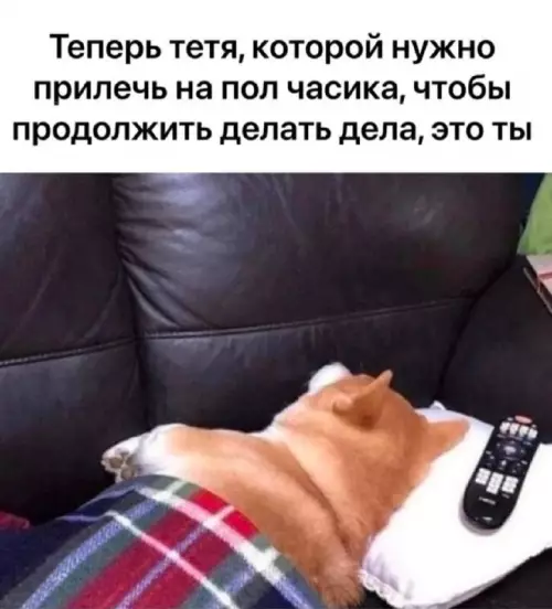 Тот самый режим энергосбережения 😴 - Теперь тетя, которой нужно прилечь на пол часика, чтобы продолжить