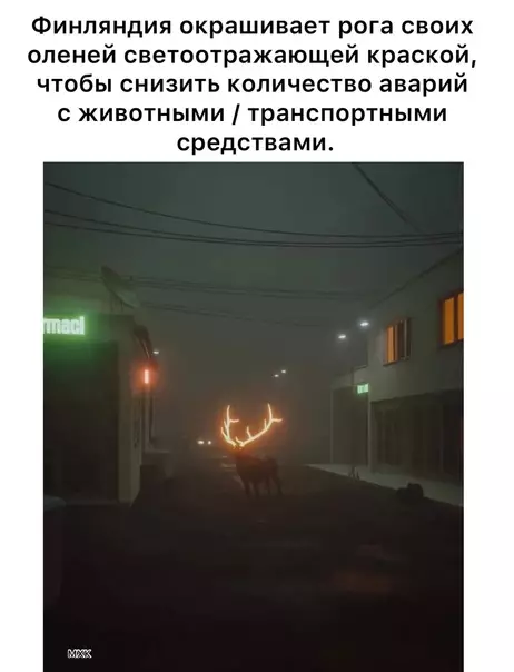 Смешная картинка №583573