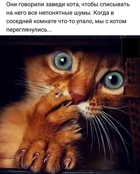 Смешная картинка №380405