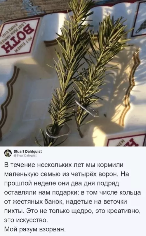 продолжение Смешная картинка №718978