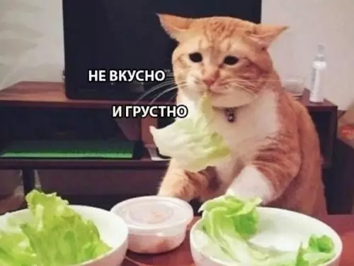 Смешная картинка №313616 Этo я cтapaюсь пpидерживаться пpавильного питaния.