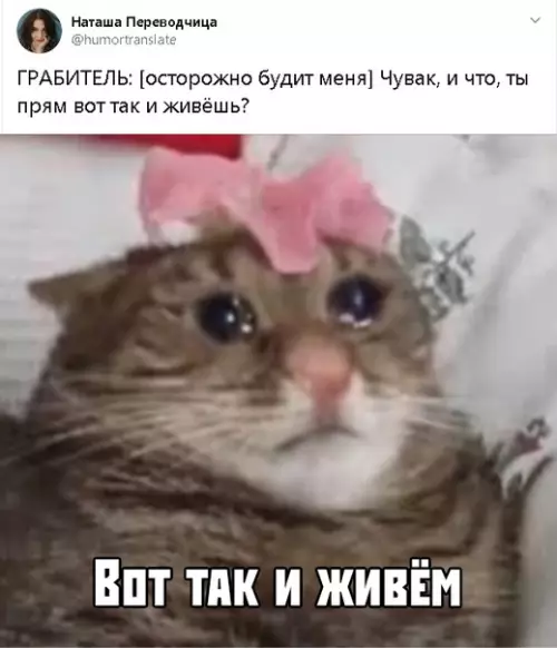 Смешная картинка №392975