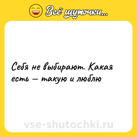 Шутка: Себя не выбирают. Какая есть — такую и люблю