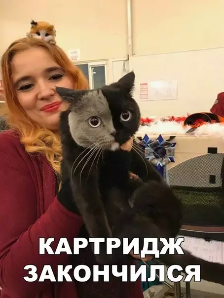 Смешная картинка №222412