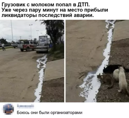 Смешная картинка №366536