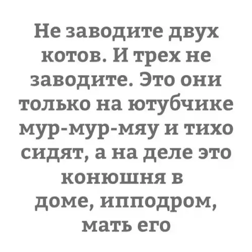 Смешная картинка №268768