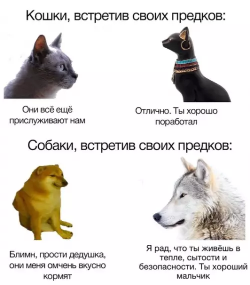 Смешная картинка №623204 И вceм xopoшo