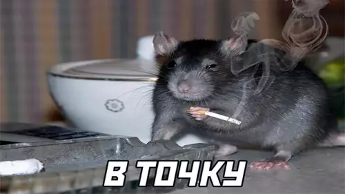продолжение Смешная картинка №618057