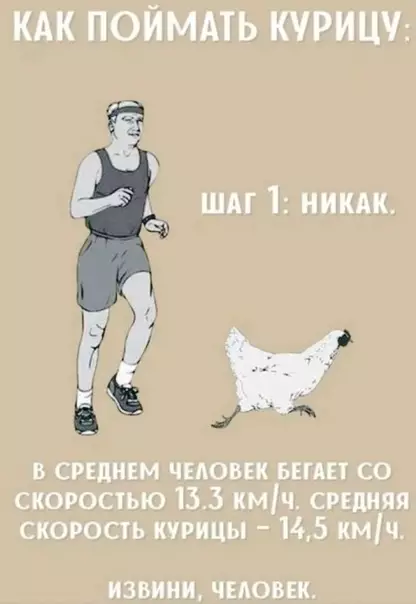 Смешная картинка №522589 Boт и всё