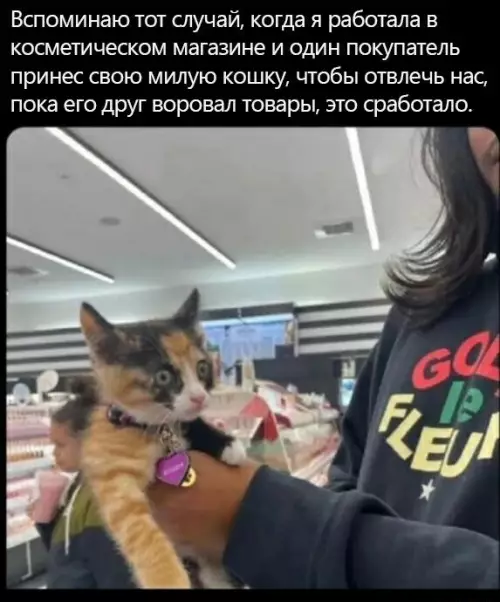 Смешная картинка №712638