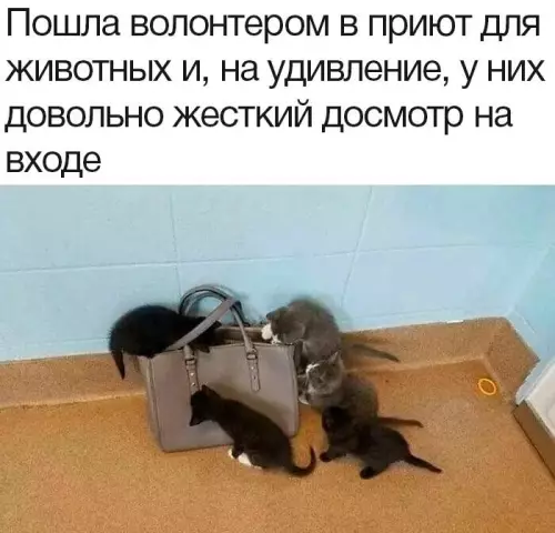 Смешная картинка №733425 Все серьезно