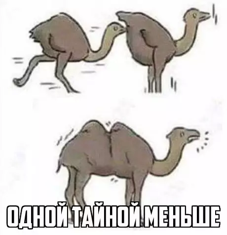 Смешная картинка №295201