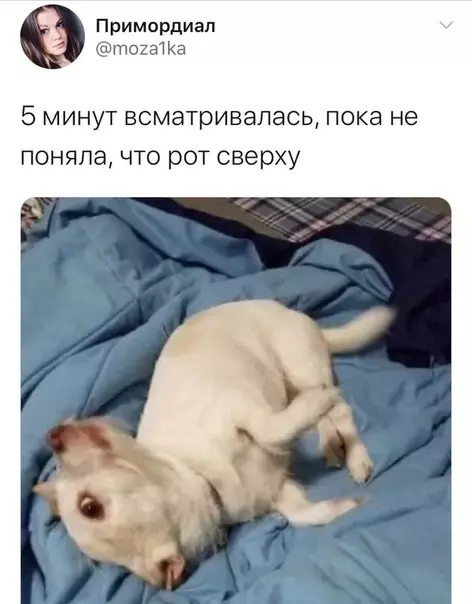 Смешная картинка №460308 Как это развидеть