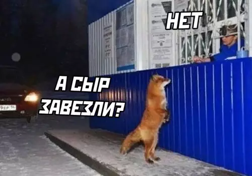 продолжение Смешная картинка №644353