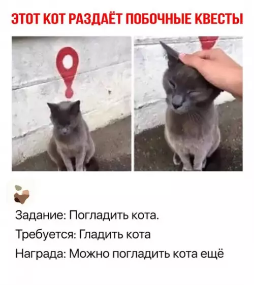 Смешная картинка №276871
