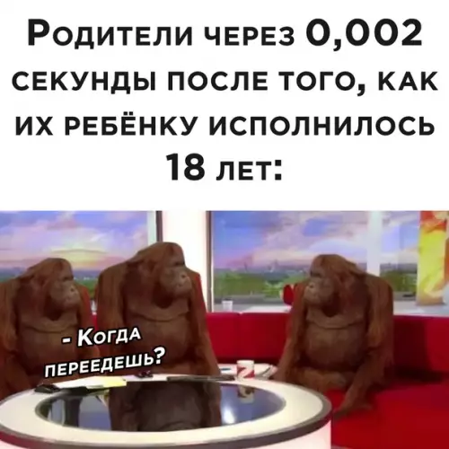 Смешная картинка №534924
