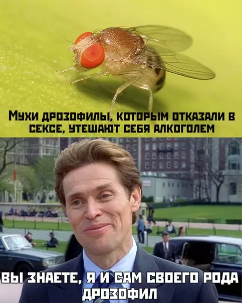 Смешная картинка №447888