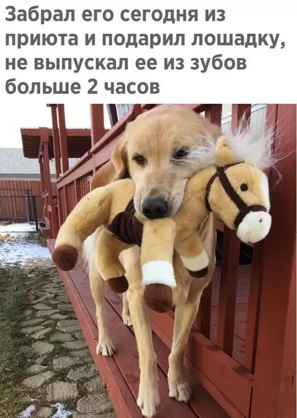 Смешная картинка №237516