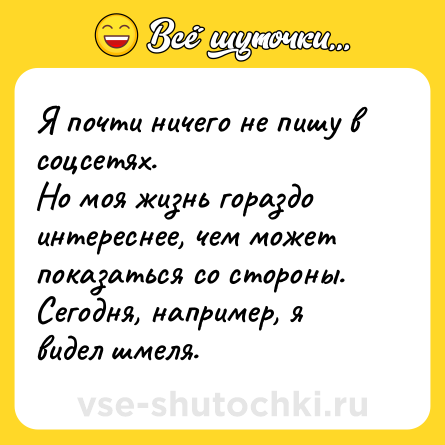 Шутка: Я почти ничего не пишу в соцсетях.<br>Но моя жизнь гораздо интереснее, чем может показаться со стороны. Сегодня, например, я видел шмеля.