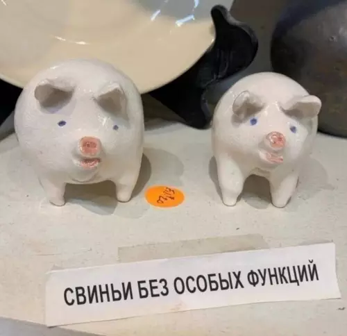 Чисто я и мой бро без лишних понтов 😂 - СВИНЬИ БЕЗ ОСОБЫХ ФУНКЦИЙ