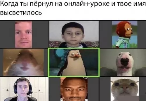 Смешная картинка №531366