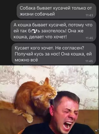 Смешная картинка №704759