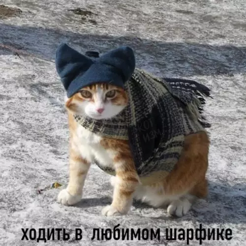 Смешная картинка №541770 Зима - это:
