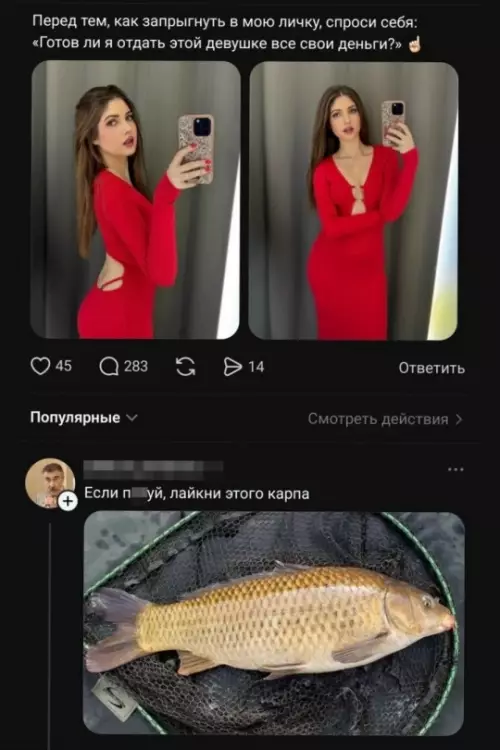 Девушка в красном и неожиданный карп - Перед тем, как запрыгнуть в мою личку, спроси себя: Готов