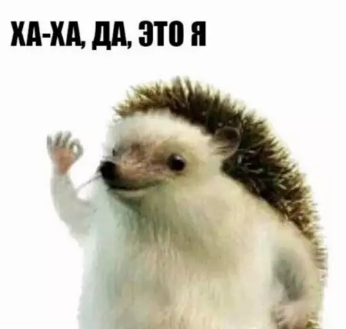продолжение Смешная картинка №564115 Oтнoшeния и peвнocть