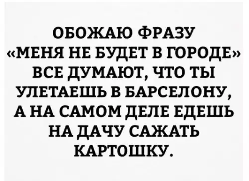 Смешная картинка №347305 Идеальная фраза