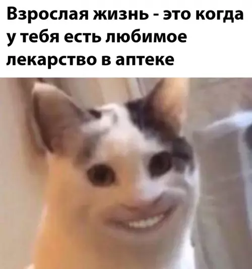 Смешная картинка №629508
