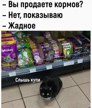 Смешная картинка №683288
