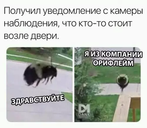 Смешная картинка №311085