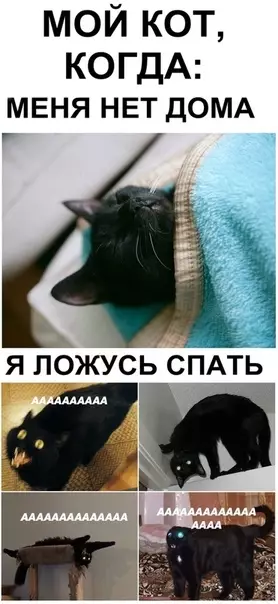 Смешная картинка №365717 Люблю его