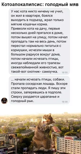 Смешная картинка №474829 Настоящий триллер! Коты